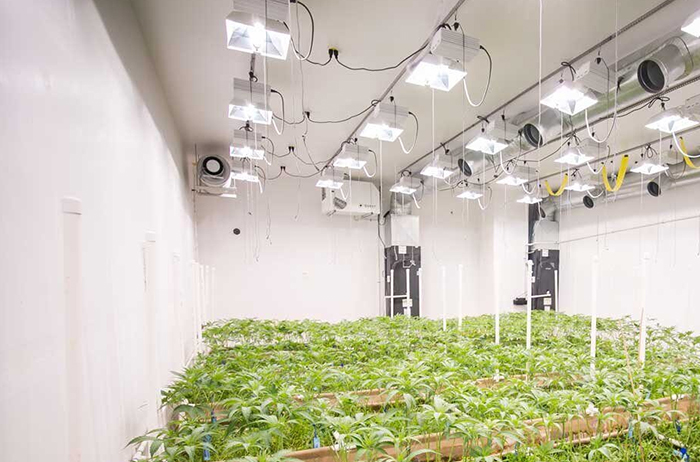 Cannabis-Grow-Facility-–-SAN-JOSE,-CA