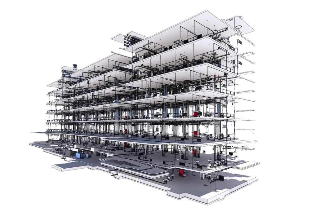 bim1
